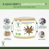 Harpagophytum bio Bioptimal Complément alimentaire Articulations Anti-inflammatoire Harpagoside Naturel Racine pure Made in France Certifié par Ecocert