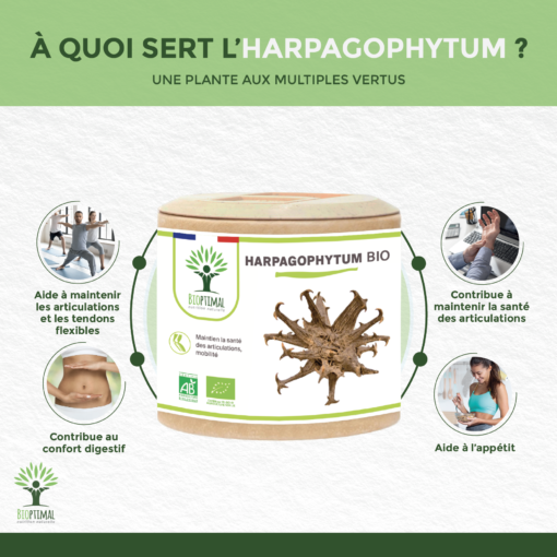Harpagophytum bio Bioptimal Complément alimentaire Articulations Anti-inflammatoire Harpagoside Naturel Racine pure Made in France Certifié par Ecocert