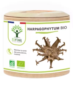 Harpagophytum Bio - Complément alimentaire - Articulation Digestion Appétit - 100% Poudre de Racine Pure en gélules - Fabriqué en France - Vegan