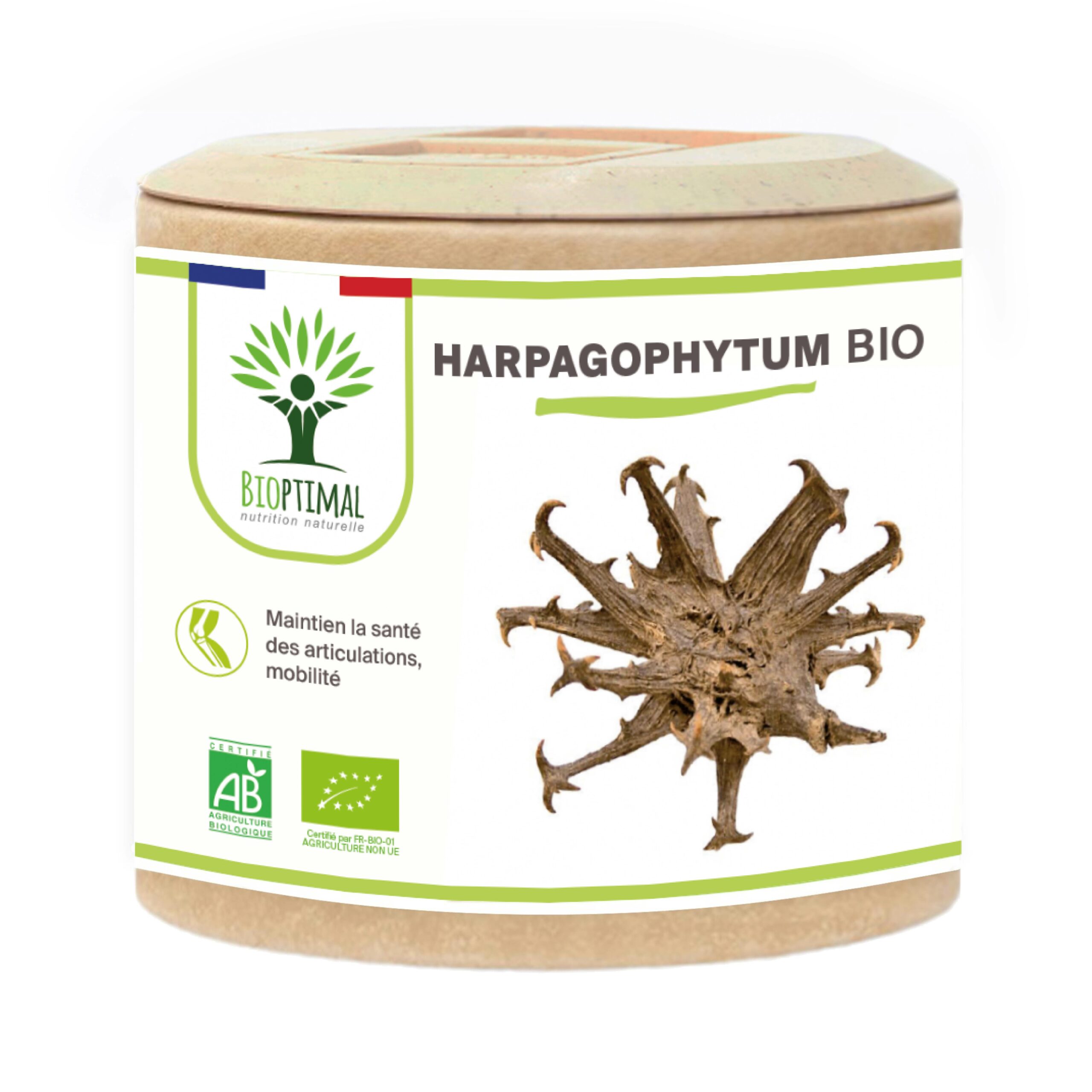 Harpagophytum Bio - Complément alimentaire pour chevaux Etik Natura
