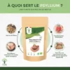 Psyllium Blond Bio - Téguments de Psyllium - Husk Raw - Digestion Transit Cholestérol - Origine Inde - Fabriqué en France - Certifié Ecocert - Vegan