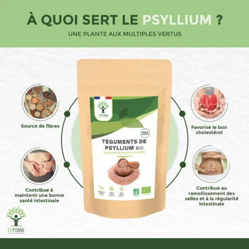 Psyllium Blond Bio - Téguments de Psyllium - Husk Raw - Digestion Transit Cholestérol - Origine Inde - Fabriqué en France - Certifié Ecocert - Vegan