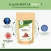Reishi bio - Superaliment - Poudre de Reishi Pur - Cholestérol Immunité Circulation - Fibres Protéines - Origine Chine - Conditionné en France - Vegan