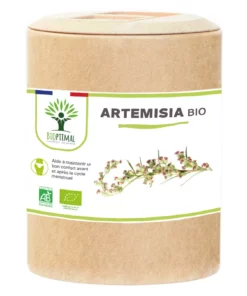 Artémisia Bio - Complément alimentaire - 100% Armoise en Poudre - Appétit Cycle Menstruel Santé rénale - Fabriqué en France - Certifié Ecocert - Vegan