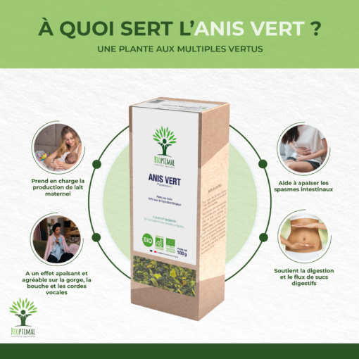 Anis vert - Infusion Bio - Santé respiratoire Digestion Confort digestif Lactation Allaitement - 100% fruit d’anis vert - Conditionné en France