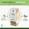 Camomille matricaire - Infusion Bio - Relaxation Détente Sommeil Endormissement - 100% Feuille de camomille matricaire Pure - Certifié par Ecocert