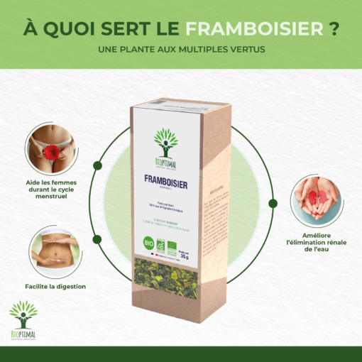 Framboisier - Infusion Bio - Digestion Elimination Confort féminin - Sans arômes ajoutés - Conditionné en France - Certifié Ecocert