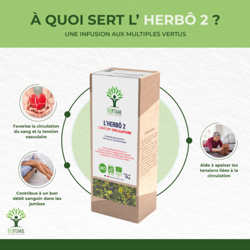 Herbô 2 - Infusion bio - Confort circulatoire - Vigne rouge Aubépine Olivier Cassis - Conditionné en France - Certifié par Ecocert