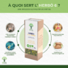 Herbô 6 - Infusion bio - Confort hépatique - Fenouil Camomille Menthe poivrée Pissenlit Romarin - Conditionné en France - Certifié par Ecocert