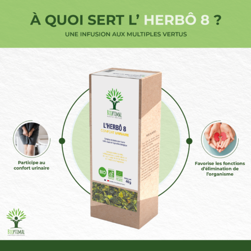 Herbô 8 - Infusion bio - Confort urinaire - Élimination - Bruyère Frêne Mauve - Conditionné en France - Certifié bio par Ecocert