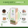 Hibiscus - Infusion Bio - Énergie Vitalité Élimination - Sans arômes ajoutés - Sans théine Sans Caféine - Conditionné en France - Certifié Ecocert