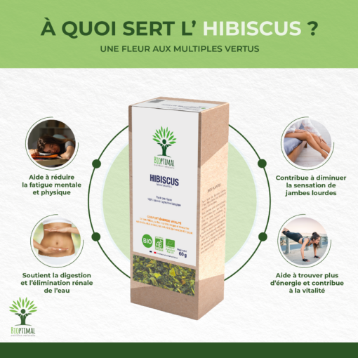 Hibiscus - Infusion Bio - Énergie Vitalité Élimination - Sans arômes ajoutés - Sans théine Sans Caféine - Conditionné en France - Certifié Ecocert