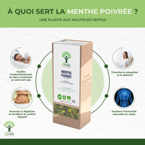 Menthe poivrée - Infusion Bio - Digestion Relaxation Santé respiratoire - Sans arômes ajoutés - Conditionné en France - Certifié Ecocert
