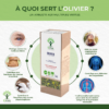 Olivier - Infusion bio - Circulation sanguine Immunité Drainant - 100% feuille d'olivier - Conditionné en France - Certifié par Ecocert