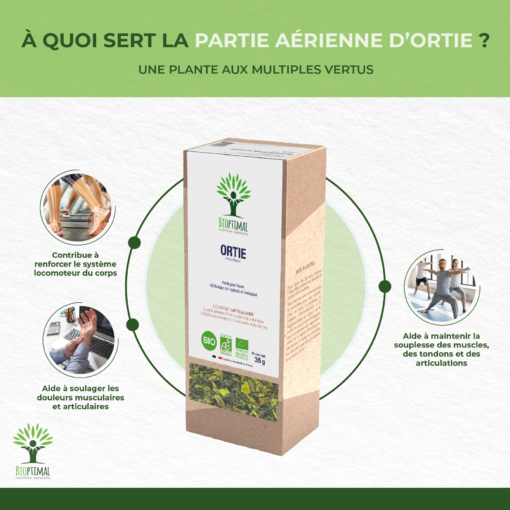 Ortie - Infusion bio - Confort articulaire - 100% partie aérienne d’ortie - Conditionné en France - Certifié bio par Ecocert