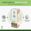 Reine-des-prés - Infusion bio - Articulation - 100% Sommité fleurie de reine-des-prés - Conditionné en France - Certifié Ecocert