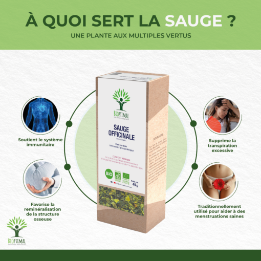 Sauge - Infusion bio - Transpiration Confort féminin Immunité Digestion - 100% Feuille de sauge - Conditionné en France - Certifié par Ecocert