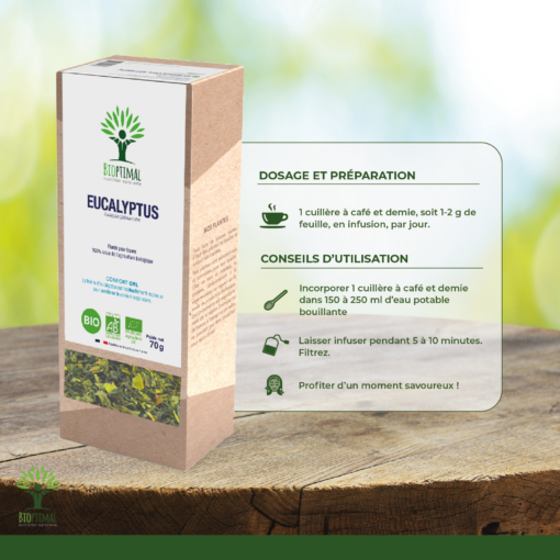 Eucalyptus - Infusion bio - Santé respiratoire Glycémie - 100% feuille d’eucalyptus - Conditionné en France - Certifié par Ecocert
