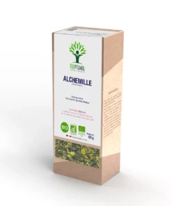 Alchémille - Infusion bio - Confort féminin Cycle menstruel Circulation sanguine Jambes lourdes - 100% Partie aérienne d’alchémille - Conditionné en France - Certifié bio par Ecocert