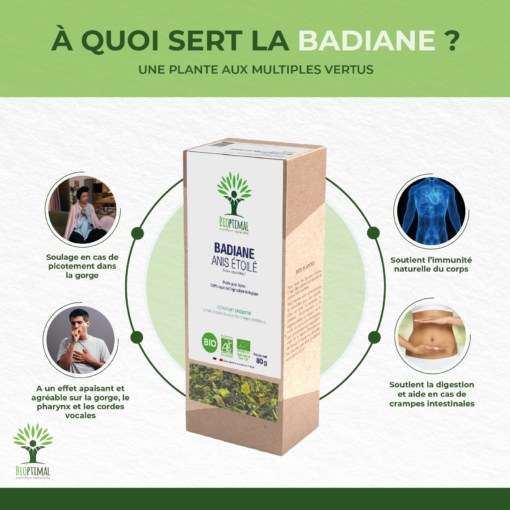 Badiane - Anis étoilé - Infusion Bio - Digestion Santé respiratoire Immunité - Conditionné en France - Certifié par Ecocert