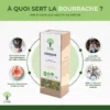 Bourrache - Infusion bio - Santé respiratoire Mobilité articulaire Articulation Élimination Drainant - 100% Fleur de bourrache - Conditionné en France