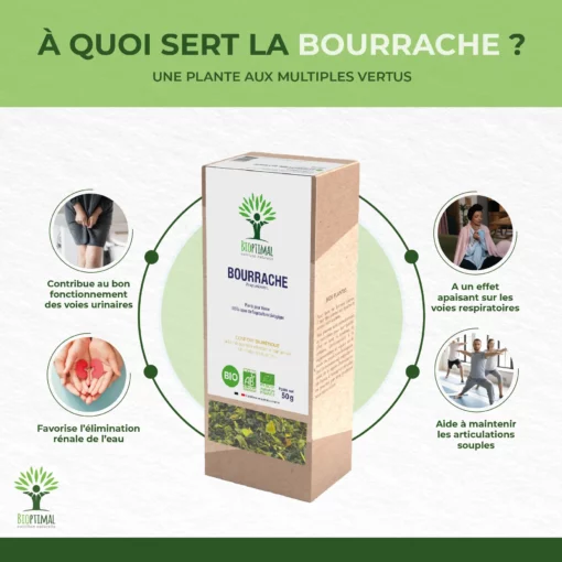 Bourrache - Infusion bio - Santé respiratoire Mobilité articulaire Articulation Élimination Drainant - 100% Fleur de bourrache - Conditionné en France