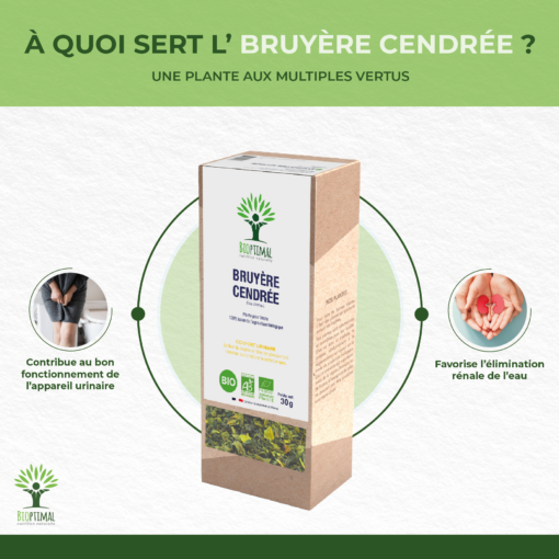 Bruyère cendrée - Infusion bio - Confort urinaire Élimination Drainant - 100% fleur de bruyère cendrée - Conditionné en France - Certifié par Ecocert