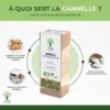 Cannelle - Infusion bio - Digestion Énergie Glycémie - 100% écorce de cannelle - Conditionné en France - Certifié bio par Ecocert