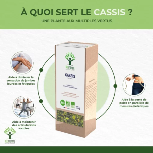 Cassis - Infusion bio - Articulation Circulation Sanguine Contrôle du poids - 100% Feuille de cassis - Conditionné en France - Certifié bio par Ecocert