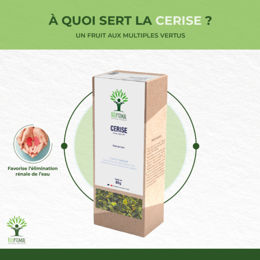 Cerise - Infusion bio - Élimination Draineur naturel - 100% Pédoncule de cerise - Conditionné en France - Certifié Ecocert