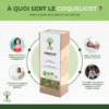 Coquelicot - Infusion Bio - Sommeil Relaxation Détente Endormissement - 100% Fleur de coquelicot Pure - Conditionné en France - Certifié par Ecocert
