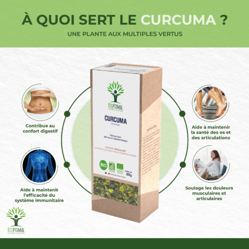 Curcuma Bio - Infusion bio - Articulation Digestion - Curcumine - Conditionné en France - Rhizome de curcuma 100% Pur - Certifié par Ecocert
