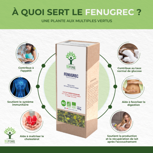 Fenugrec - Infusion Bio - Appétit Lactation Cholestérol Glycémie - 100% Graine de fenugrec - Conditionné en France - Certifié bio par Ecocert