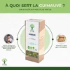 Guimauve - Infusion Bio - Digestion Confort digestif Santé respiratoire - 100% Racine de guimauve - Conditionné en France