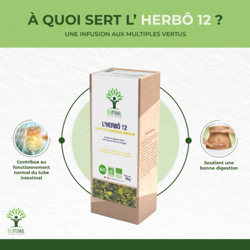 Herbô 12 - Infusion bio - Digestion Confort digestif - Verveine Menthe poivrée - Conditionné en France - Certifié bio par Ecocert