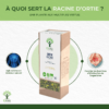 Ortie - Infusion bio - Confort diurétique - Élimination - 100% racine d’ortie - Conditionné en France - Certifié bio par Ecocert