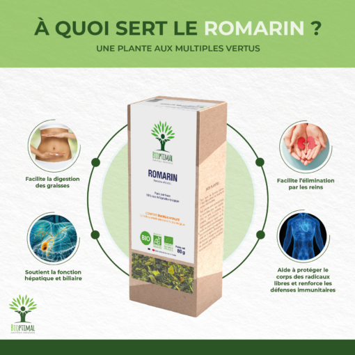 Romarin - Infusion Bio - Digestion Élimination Immunité - 100% Feuille de romarin - Conditionné en France - Certifié par Ecocert