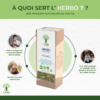 Herbô 7 - Infusion bio - Confort ORL - Citron Guimauve Mauve Pin sylvestre Thym - Conditionné en France - Certifié bio par Ecocert