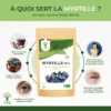 Myrtille en Poudre Bio – Colorant alimentaire – Fort pouvoir colorant – Santé oculaire - 100% Baies de myrtille - Conditionné en France – Vegan